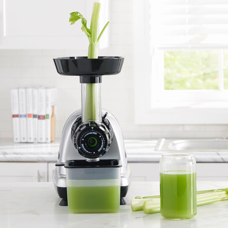 Omega Slow Masticating Juicer with Cap for Celery Reviews Wayfair